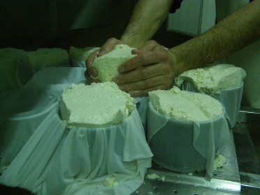 Gazta moldera egokitzen / Ajustando el queso al molde