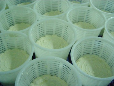Gazta nata moldeetan / Queso nata en moldes