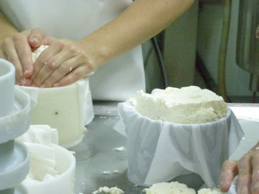 Gazta moldera egokitzen / Ajustando el queso al molde